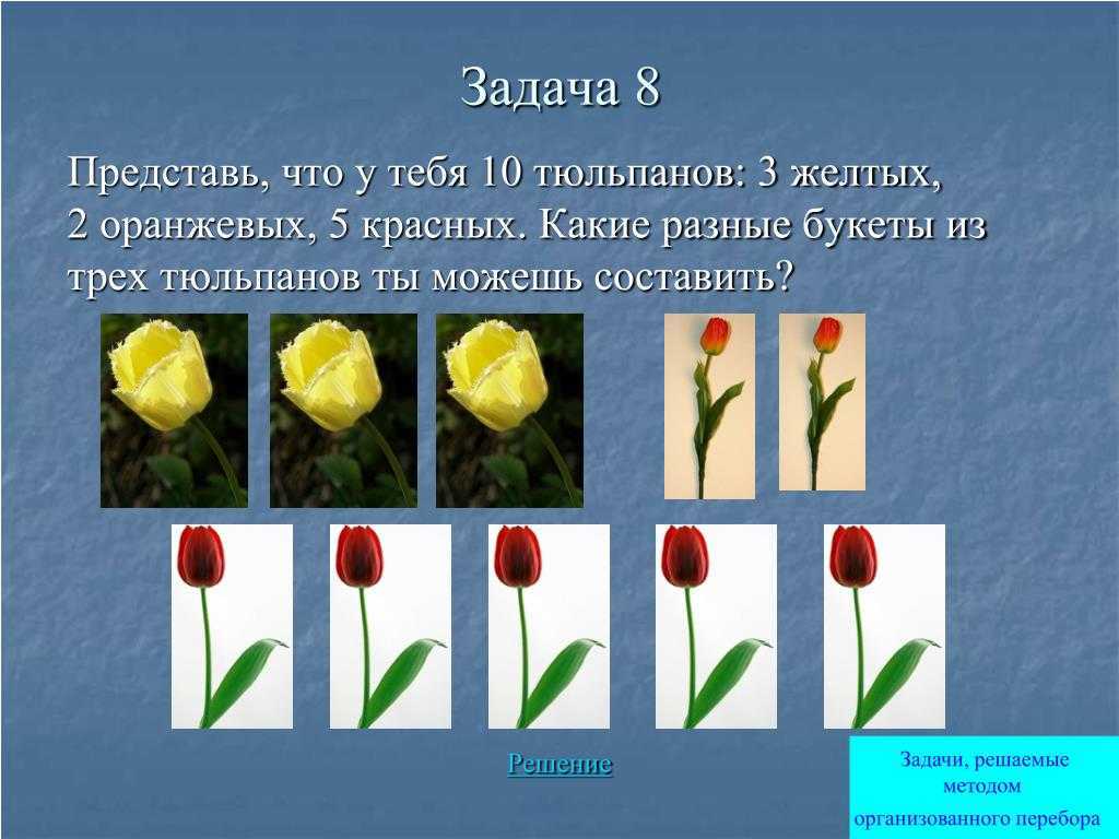 Какой тип питания характерен для тюльпана. Два цветка разных тюльпана. Тюльпаны задания. Вид тюльпана обыкновенного. 3 Тюльпана.