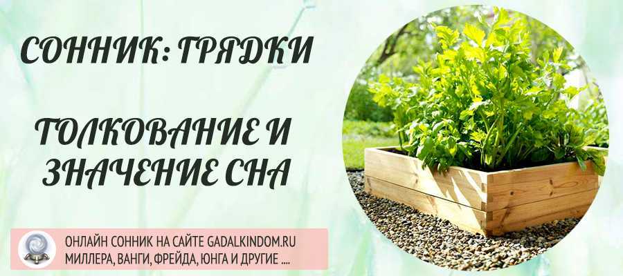 Огород во сне. Сон видеть огород. Что означает видеть во сне огород. К чему снятся грядки. Поливать грядки во сне к чему снится.