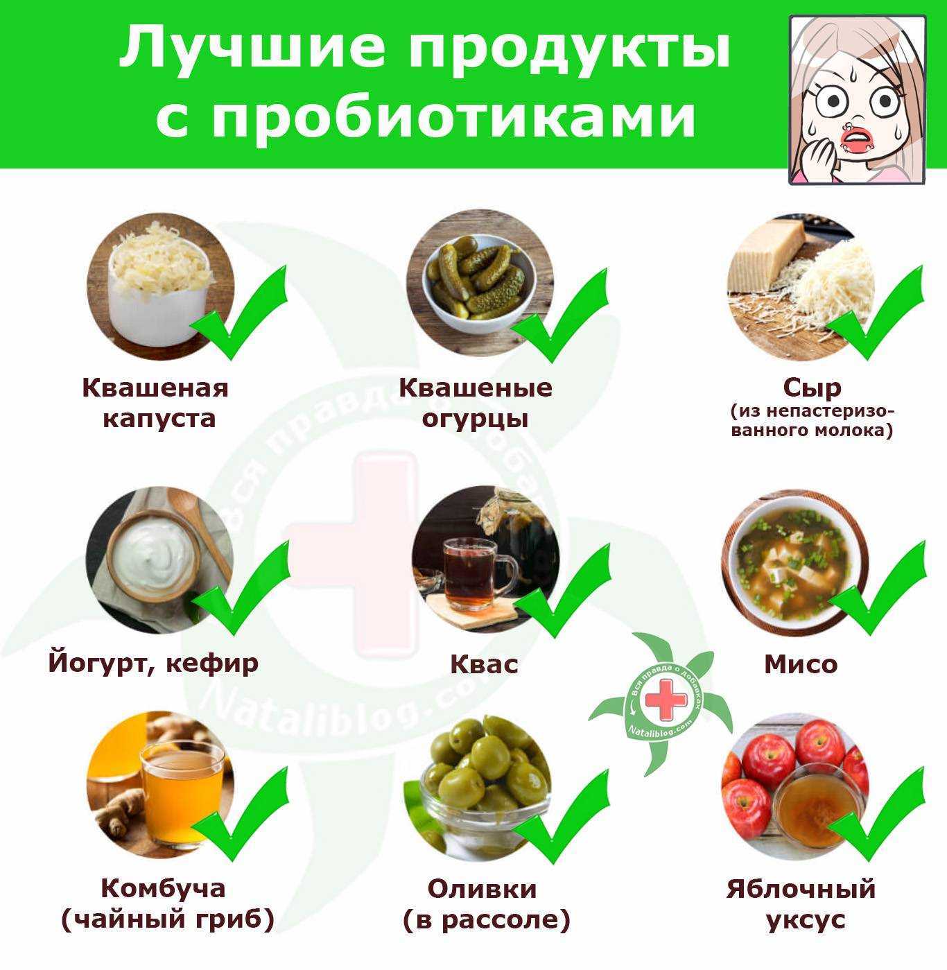 Ферментация польза. Пробиотики продукты. Пробиотики в продуктах питания. Пробиотики для кишечника продукты. Продукты содержащие пребиотики.