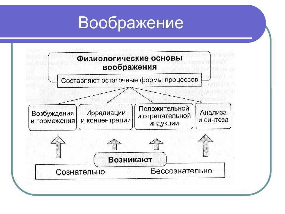 Воображение схема по психологии