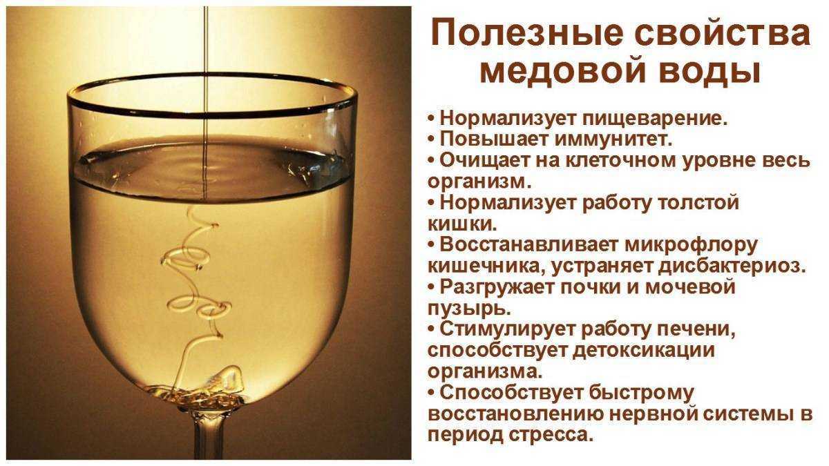 Ложка меда — сколько меда можно есть в день?