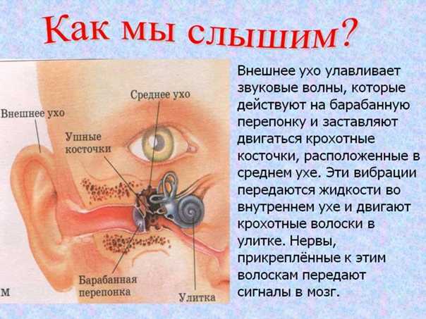 Опухоль уха