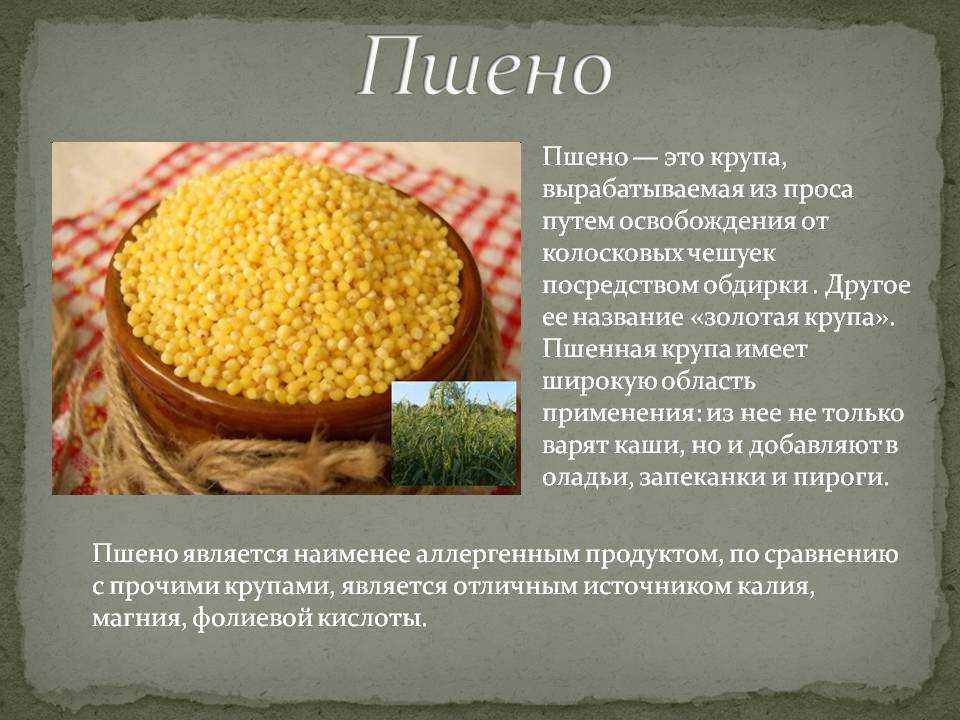 Пшенная каша: польза и вред, рецепты на воде, молоке, с тыквой, калорийность | zaslonovgrad.ru
