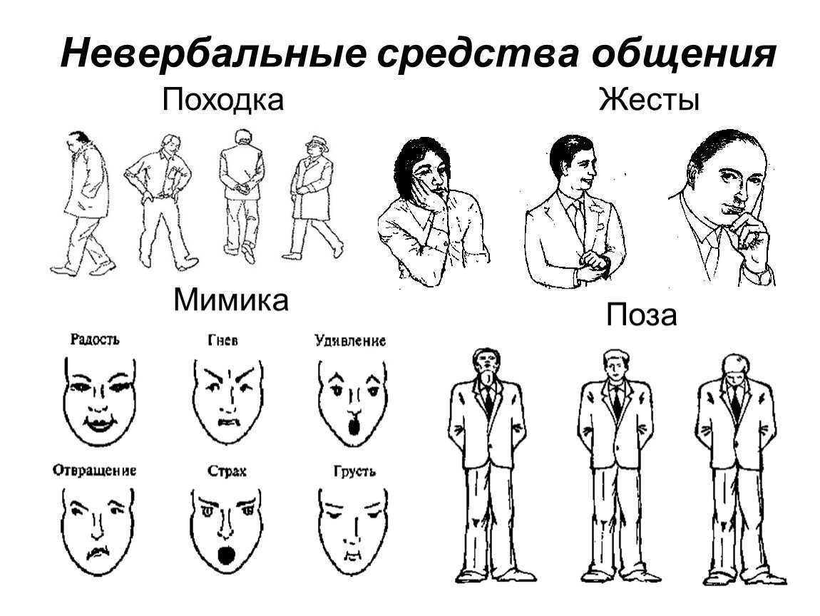 Как распознать картинку