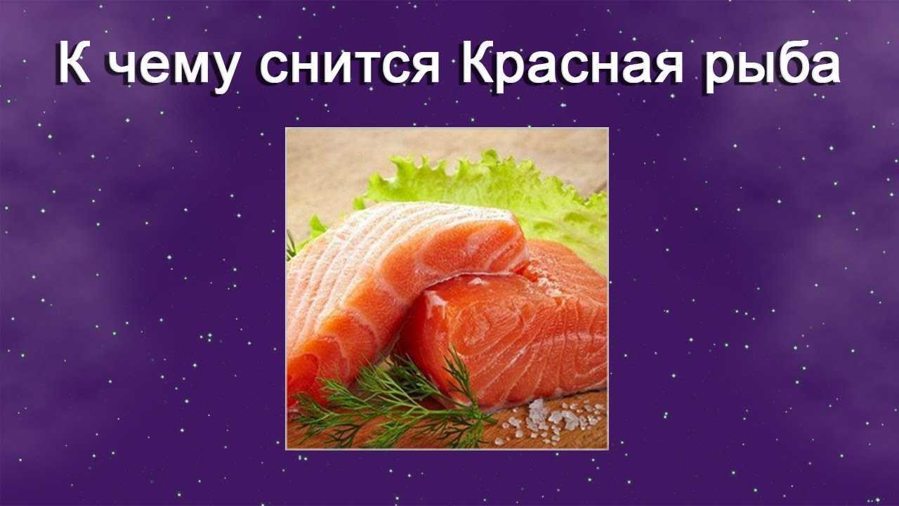ᐉ сонник живая рыба в руках - x-sonnik.ru