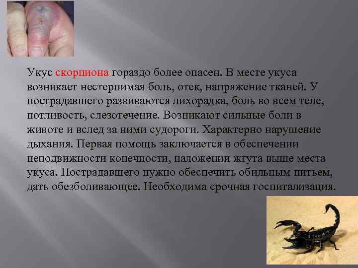 К чему снится кобра женщине и мужчине - все сонники (укусила, нападает, черная, белая)