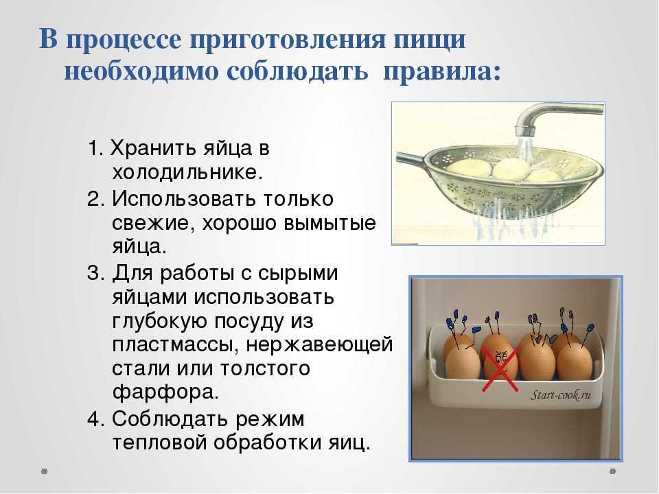 Как хранить яйца: где и как это делать дольше в домашних условиях, что длать с сырыми по санпину, можно ли мыть куриные перед хранением и почему нельзя, какие ёмкости для обработки существуют? selo.guru — интернет портал о сельском хозяйстве