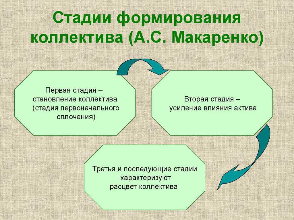 Роли в коллективе психология — отношения