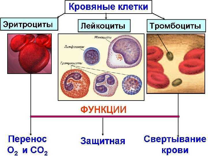 Нехватка воздуха