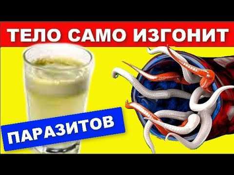 Аскариды