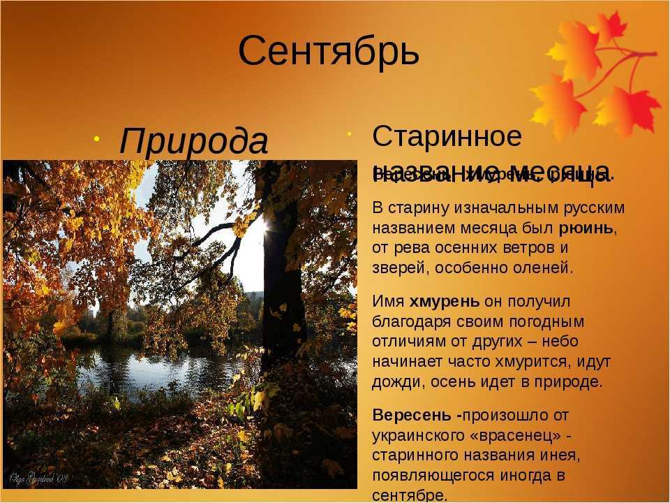 К чему снится осень Что значит, если вам во сне приснилась осень Самое лучшее толкование снов по различным сонникам: Миллера, Ванги, Современному и ид