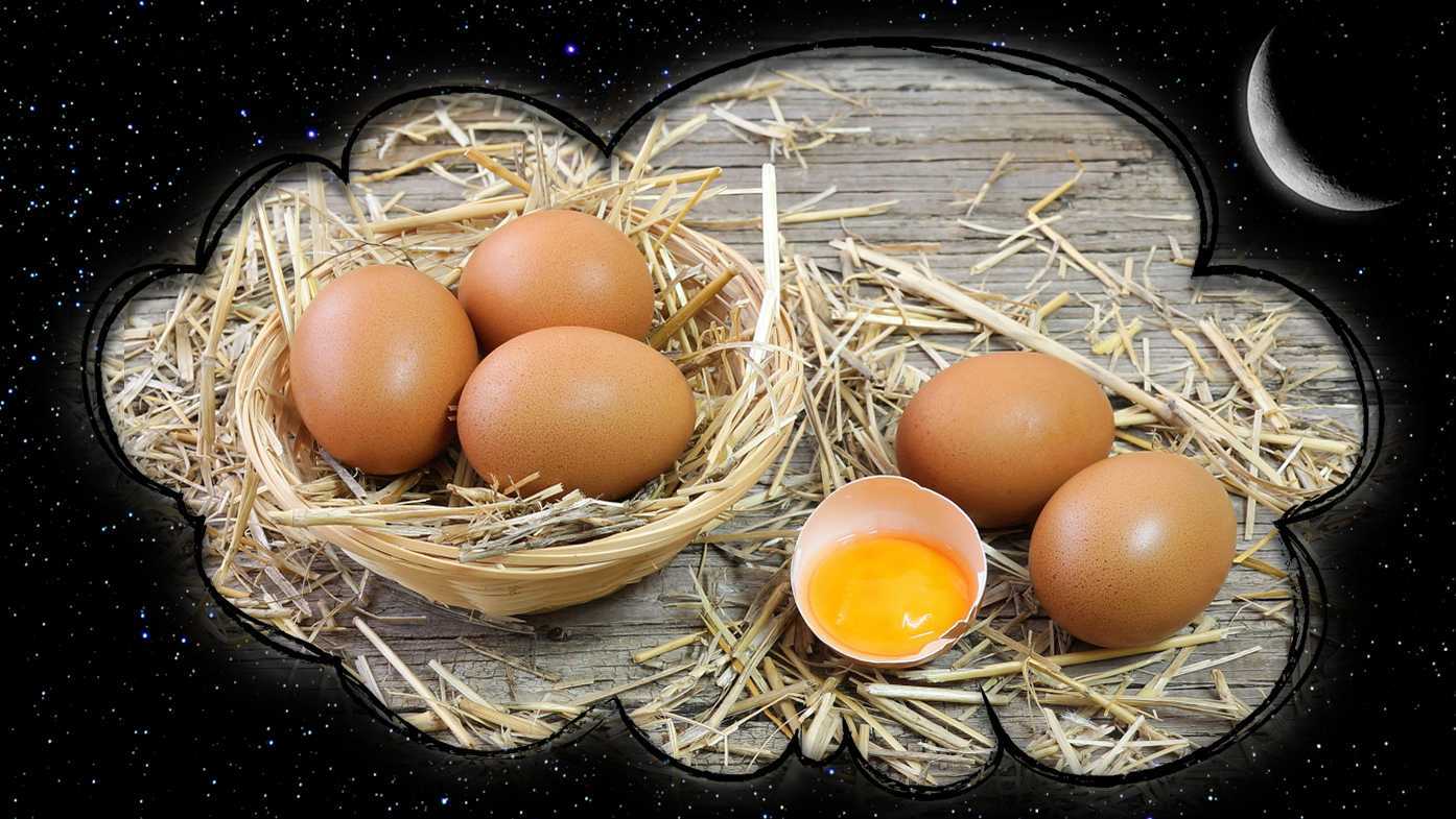 К чему снится, что варишь яйца?