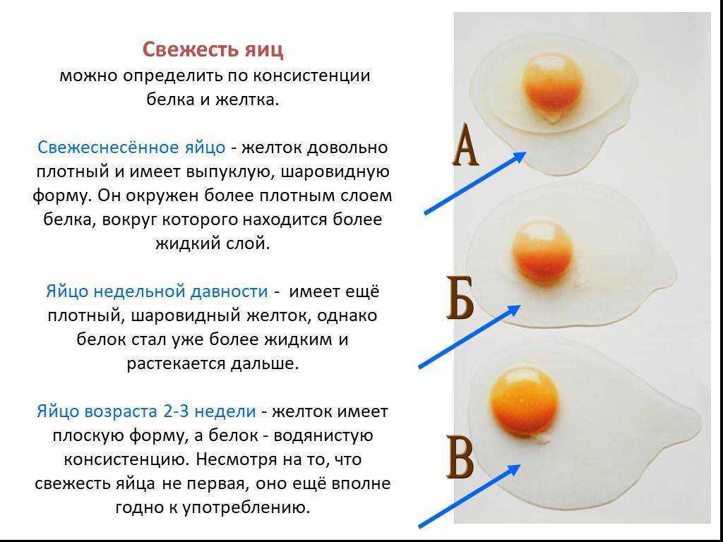 К чему снятся яйца куриные во сне: женщине, мужчине, много яиц, сырые