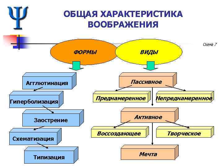 Воображение схема по психологии