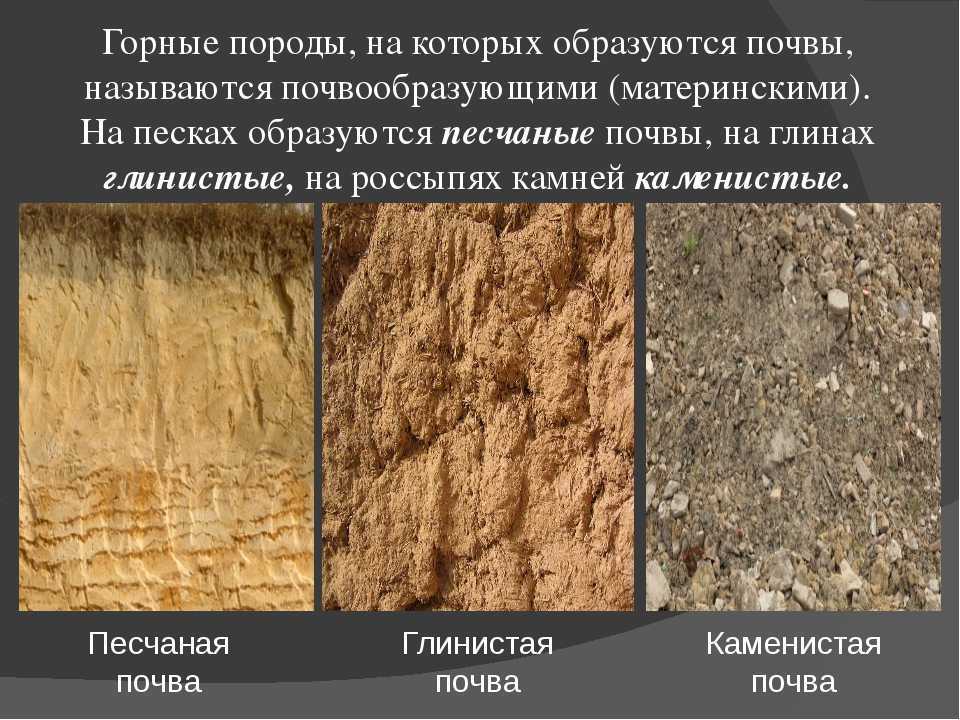 Горные породы составляющие основу почвы. Тип почвы суглинок. Тип почвы чернозем с песком. Глинистые и песчаные почвы. Глинистые и суглинистые почвы.