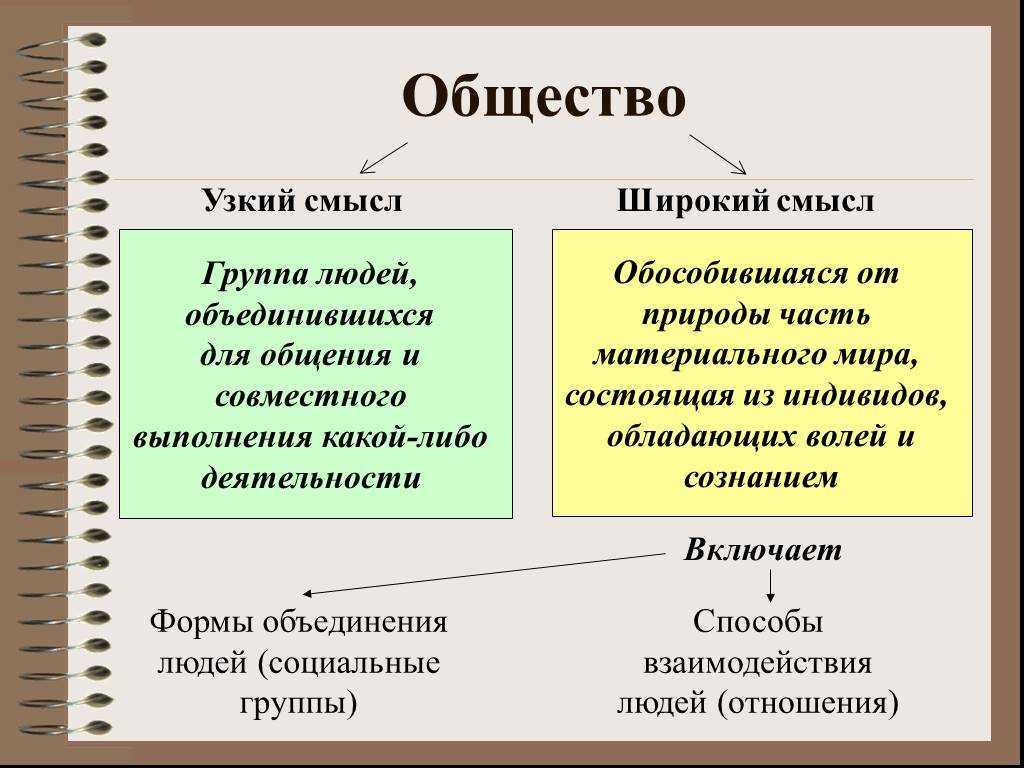Общество: это что такое, социум, виды, признаки, структура, функции
