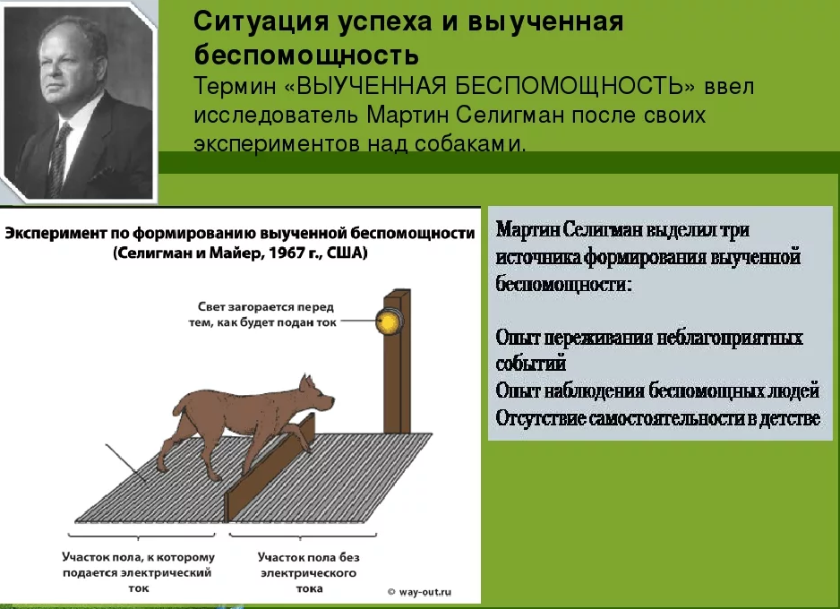 Теория выученной беспомощности