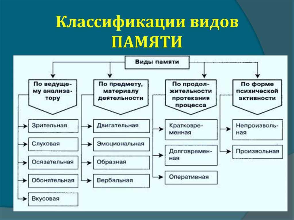 Комплекс этих компонентов формирует у человека картину мира