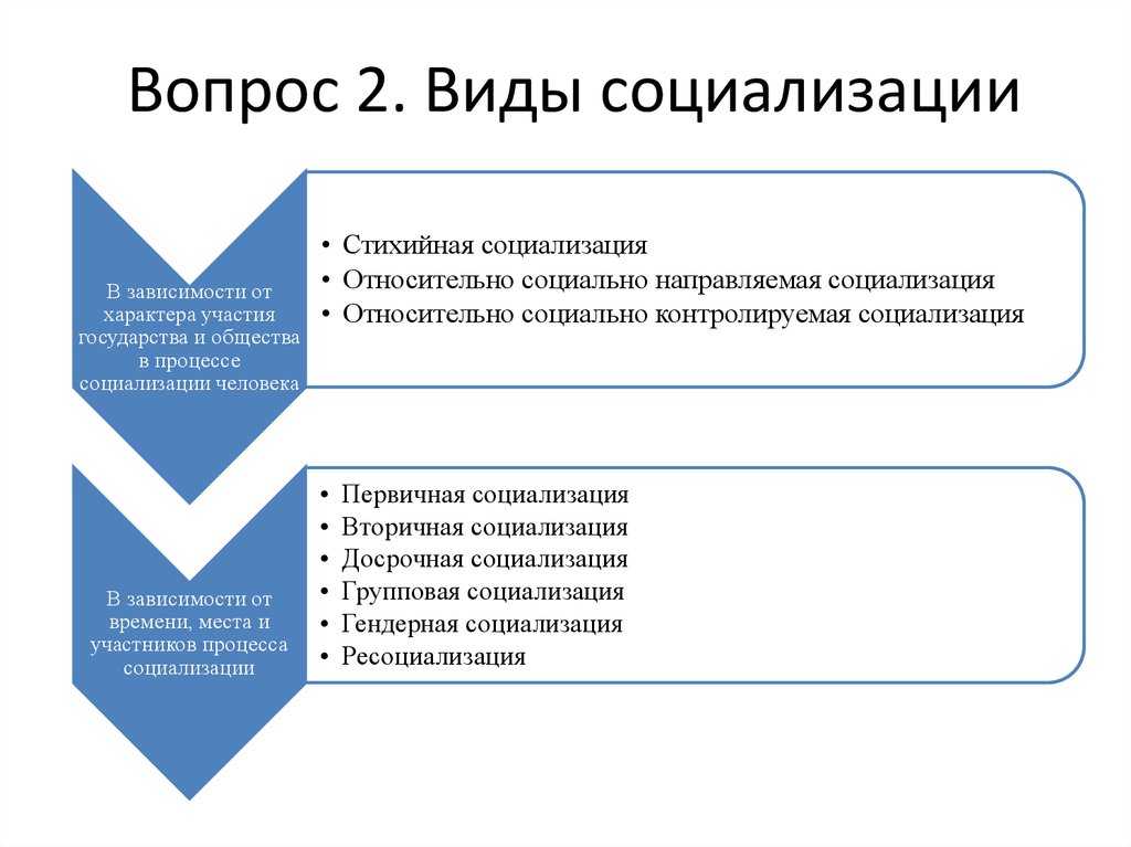 Что автор считает социализацией в формальном плане