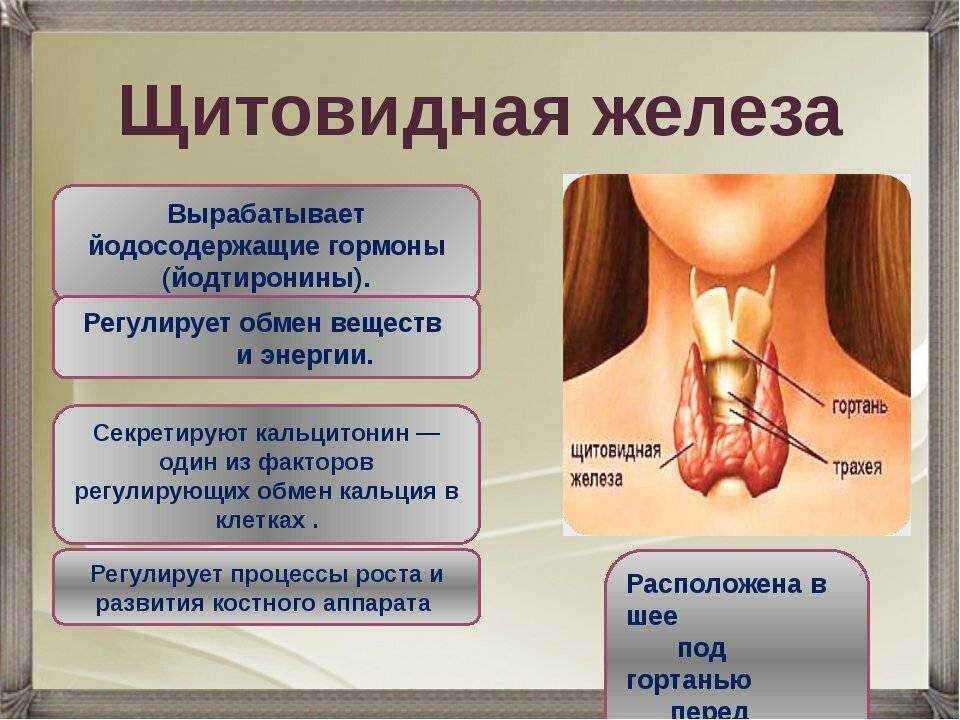 Рентгенография брюшной полости. исследование на кишечную непроходимость