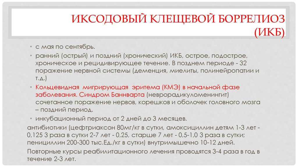 Клещевой боррелиоз - болезнь лайма | симптомы, лечение и последствия