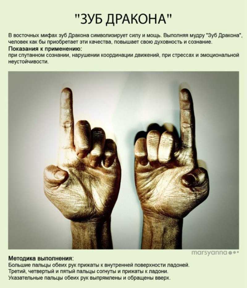 Каждый палец руки связан с 2 органами: исцели себя сам :: инфониак