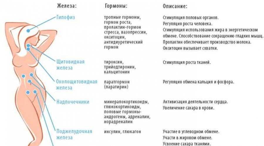 Причины сексуального неудовлетворения у женщин