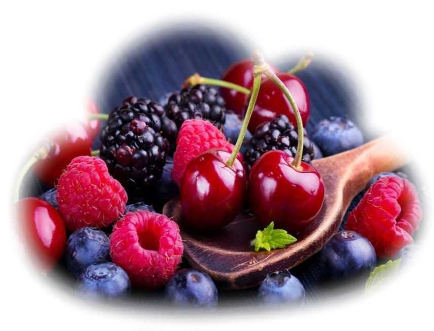 К чему снится собирать ягоды: в лесу, красные, мелкие, клубнику, малину