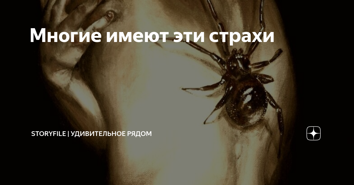 К чему снится паук во сне для женщины: большой, черный, светлый, на лице, на руке