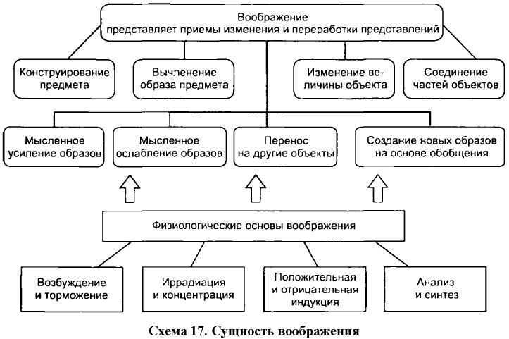 Виды воображения