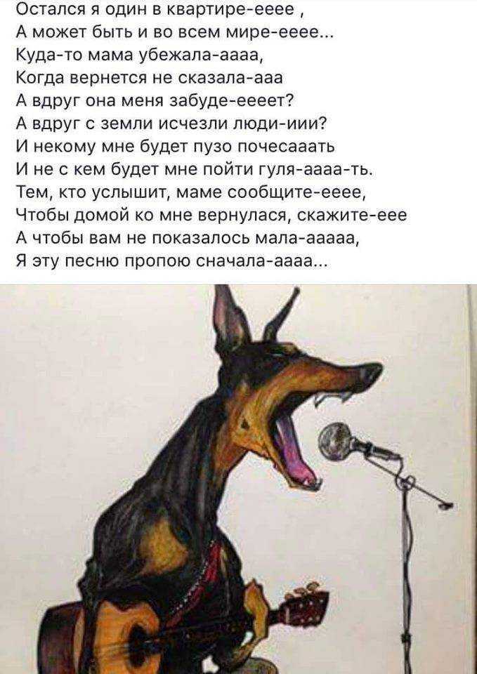 Приснилось гладить собаку к чему это. к чему снится приснилось гладить собаку к чему это - онлайн сонник
