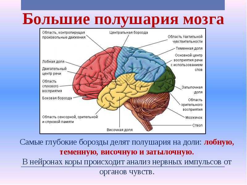 Пугающие симптомы панического расстройства