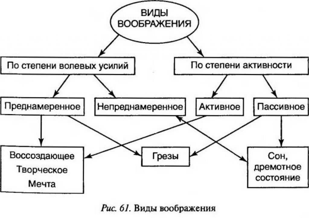 Воображение и творчество в психологии презентация