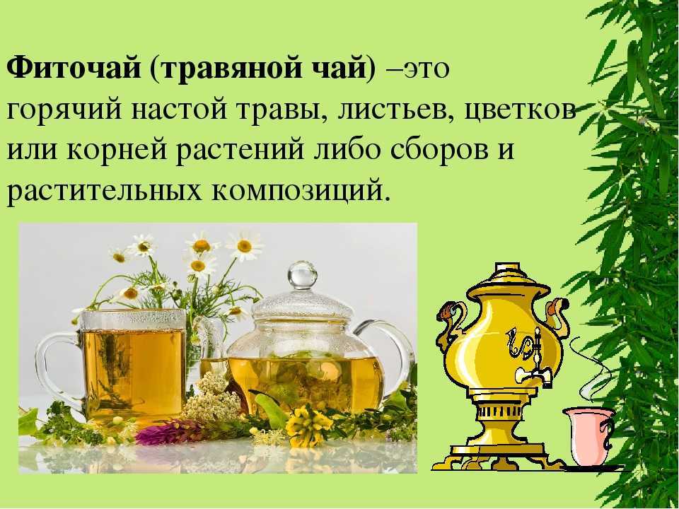 Список трав, из которых можно приготовить ароматный и полезный чай