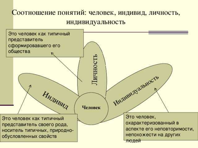 Человек индивид личность взаимосвязь понятий проект по обществознанию