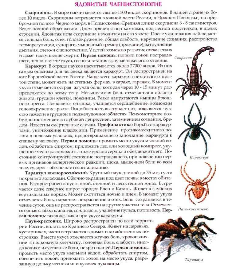 К чему снится питон женщине и мужчине – сонник