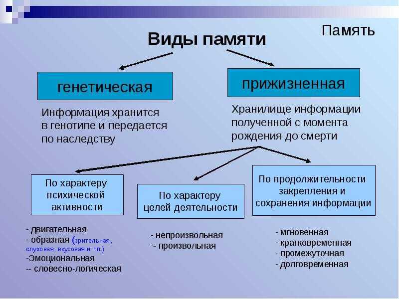 Лекция «память»