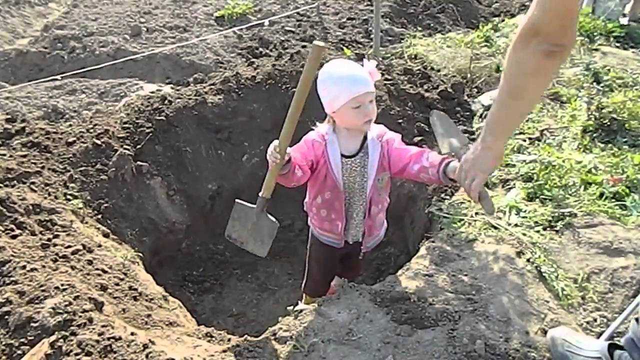 Сонник копать картошку. к чему снится копать картошку видеть во сне - сонник дома солнца