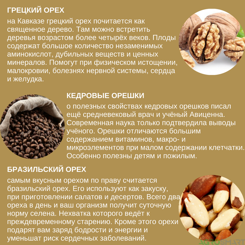 Чем кедровые орехи могут быть опасны для здоровья - тестостерон